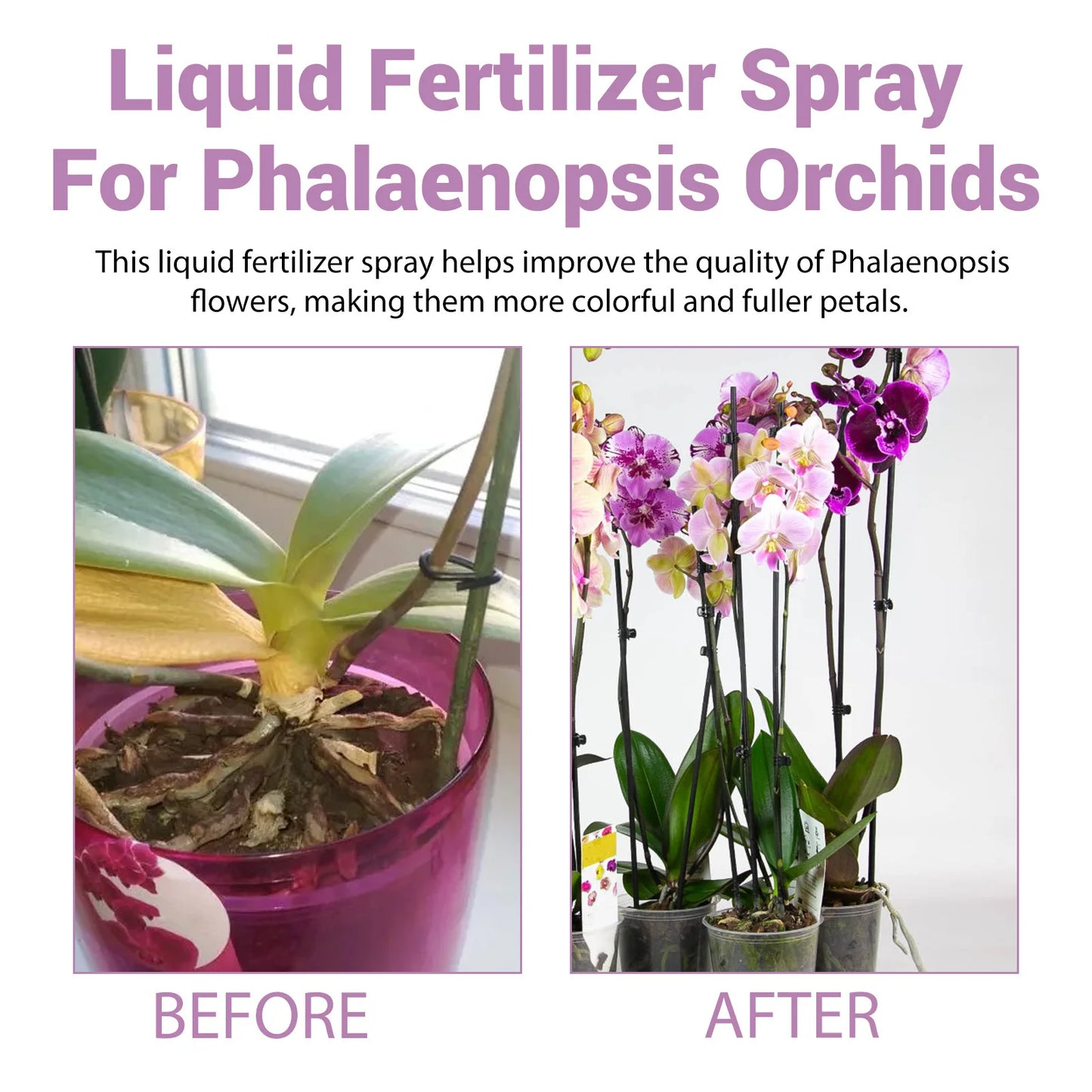 MoonSpry Orchid Bloom Booster - Professional Fertilizer Spray for Abundant Blooms & Leaf Growth. Nutrient-Rich Misting Supplies