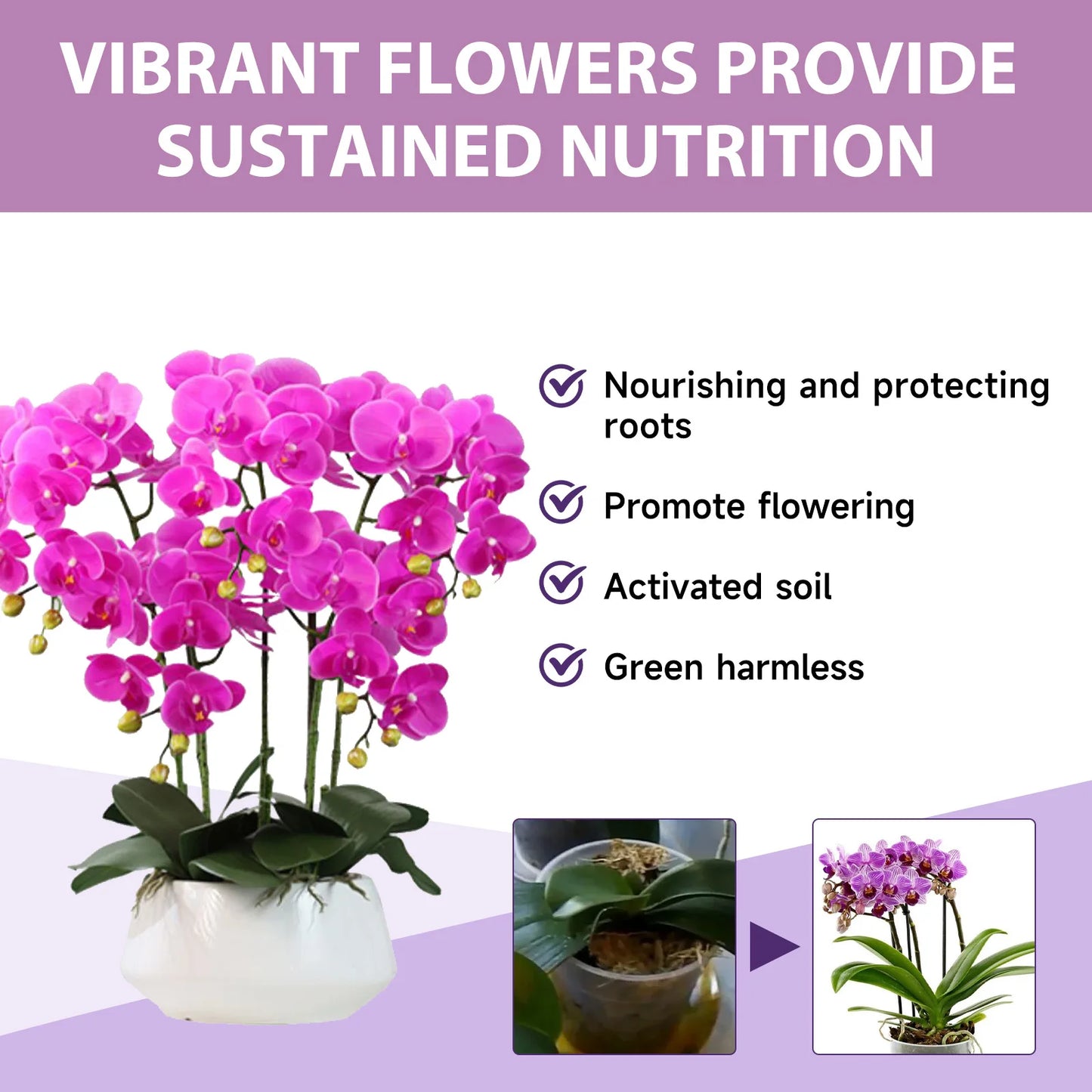 MoonSpry Orchid Bloom Booster - Professional Fertilizer Spray for Abundant Blooms & Leaf Growth. Nutrient-Rich Misting Supplies