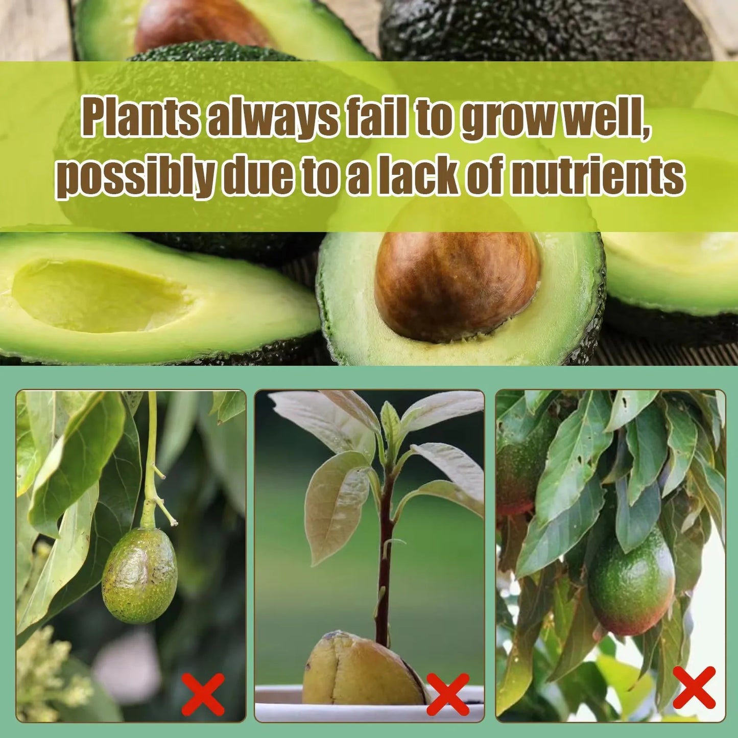 Avocado Tree Fertilizer Vital Health Food Nutrient Gardening Blend Fertilizer Leaf Growth Supplement Plant Liquid Organic Spray