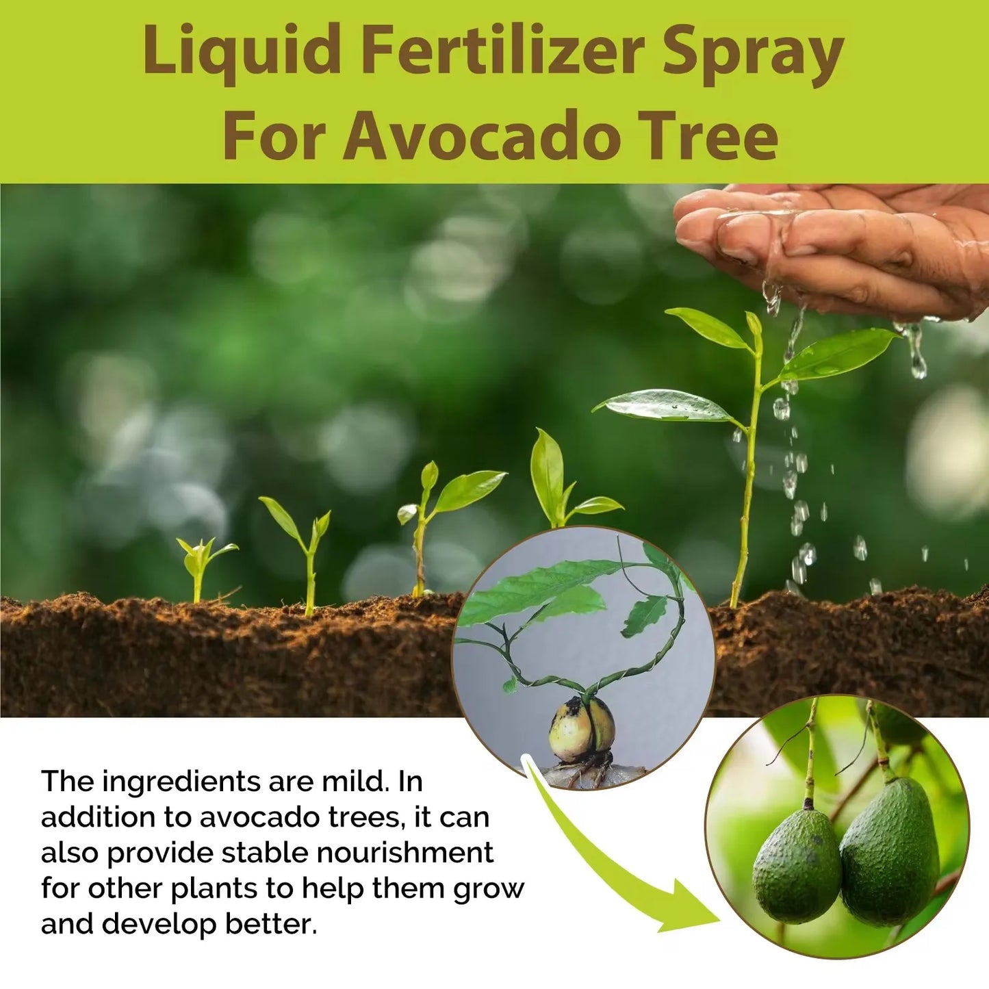 Avocado Tree Fertilizer Vital Health Food Nutrient Gardening Blend Fertilizer Leaf Growth Supplement Plant Liquid Organic Spray