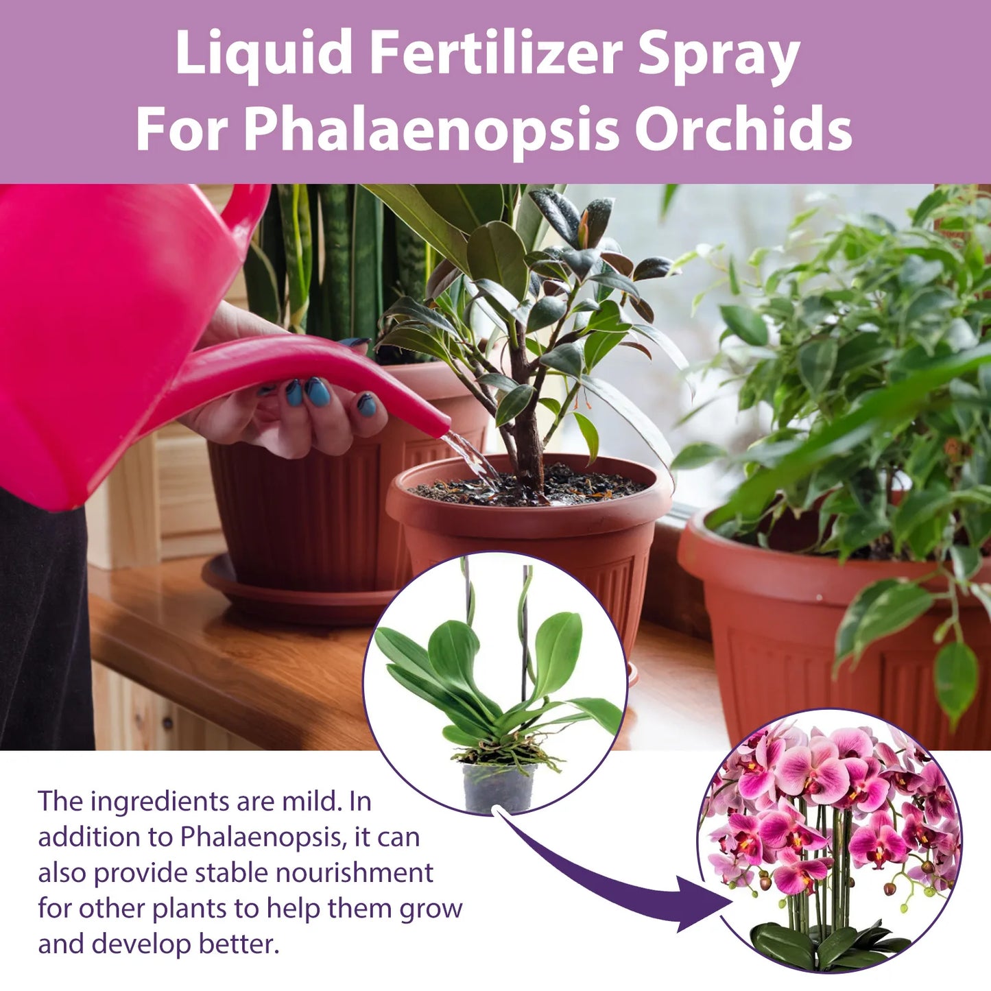 MoonSpry Orchid Bloom Booster - Professional Fertilizer Spray for Abundant Blooms & Leaf Growth. Nutrient-Rich Misting Supplies