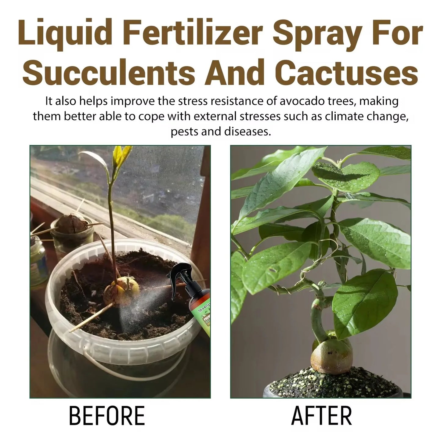 Avocado Tree Fertilizer Vital Health Food Nutrient Gardening Blend Fertilizer Leaf Growth Supplement Plant Liquid Organic Spray