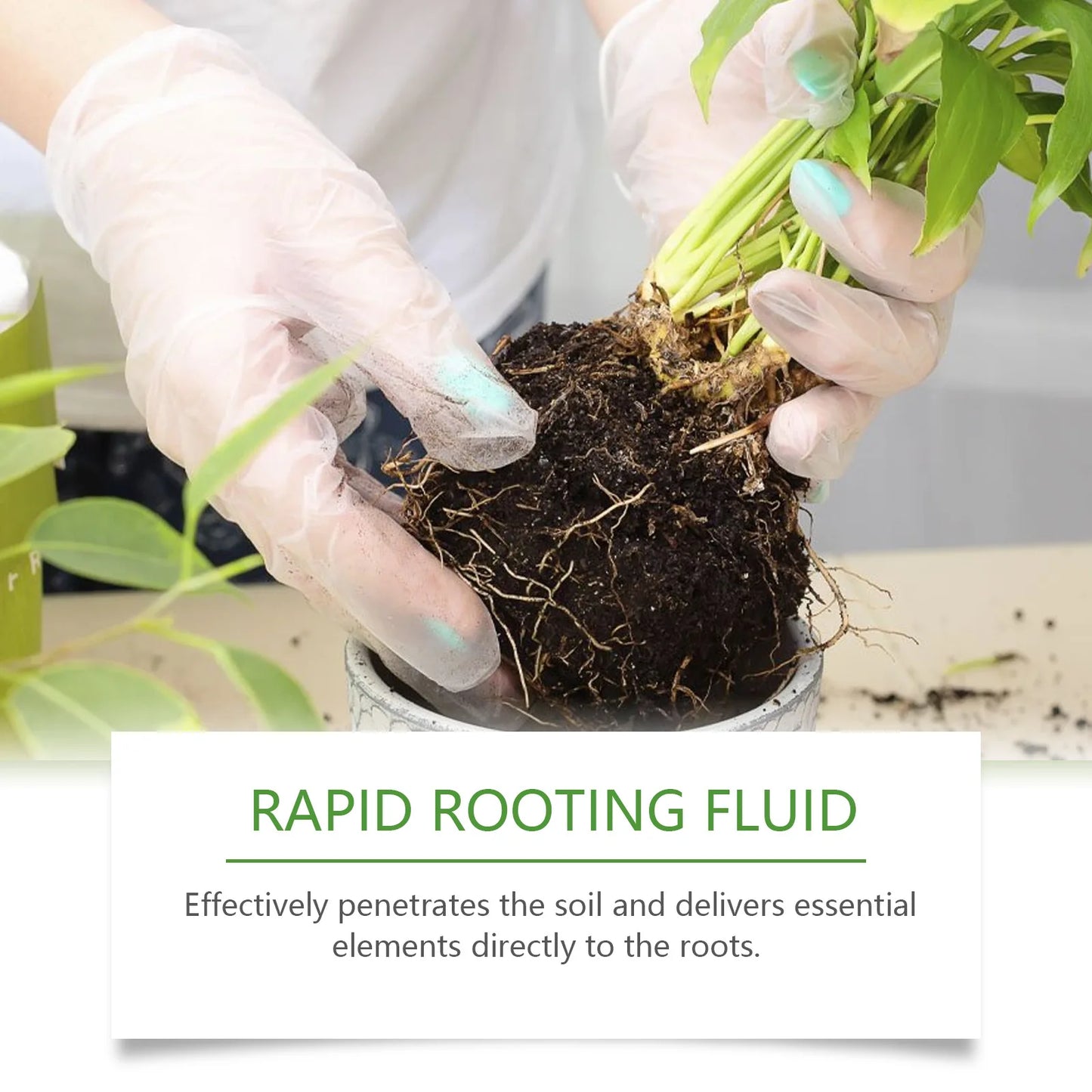 100ml Succulent Root Booster Potted Plant Nutrient Rapid Rooting Stimulator Fertilizer Supplement for Healthy Root Development