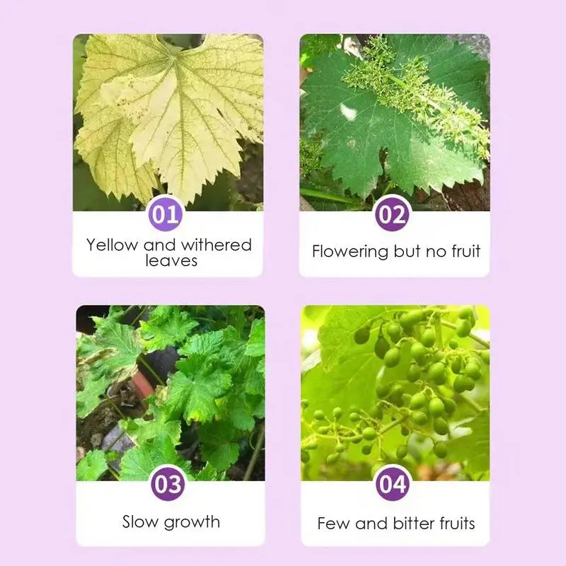 Grape Specific Fruit Tree Organic Flower Fertilizer Pot Plants To Supplement Phosphorus And Compound Particle Fertilizer