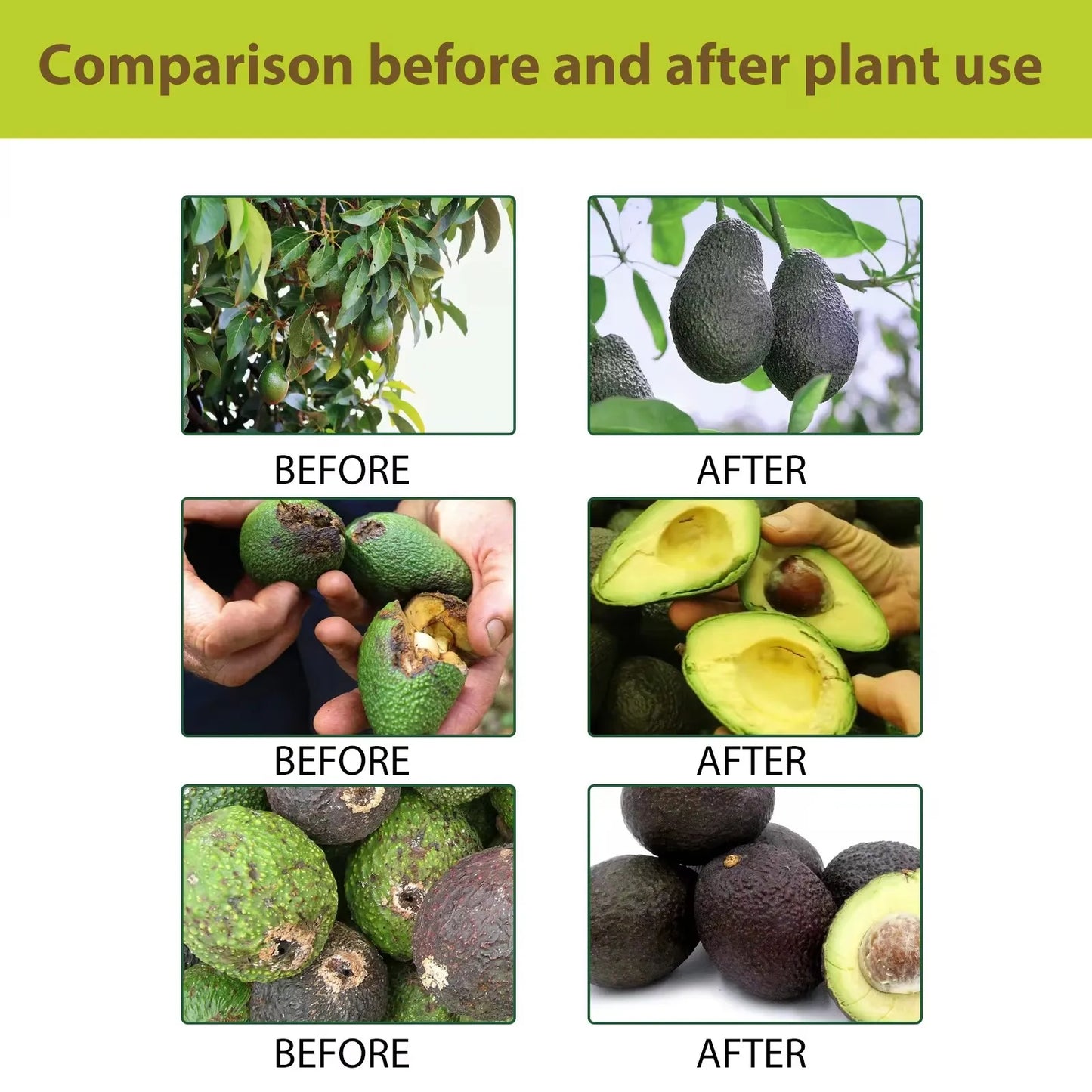 Avocado Tree Fertilizer Vital Health Food Nutrient Gardening Blend Fertilizer Leaf Growth Supplement Plant Liquid Organic Spray