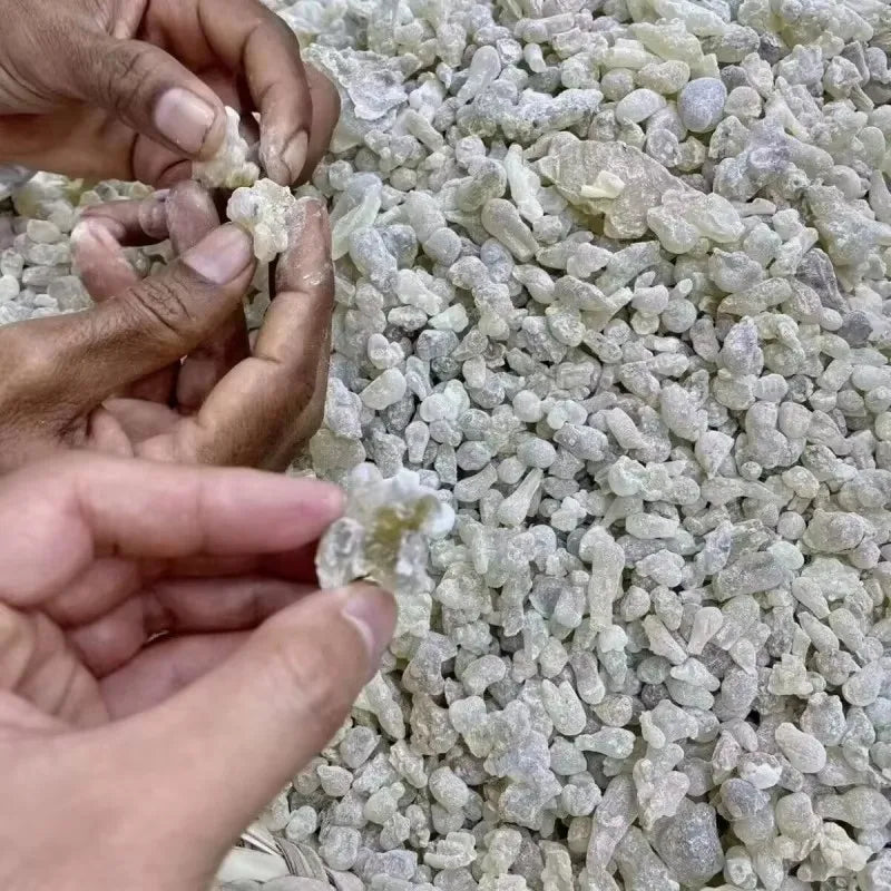 Premium Oman Hojari Frankincense Royal Natural Green Frankincense Burning Well Resin Incense Meditation Home Fragrance