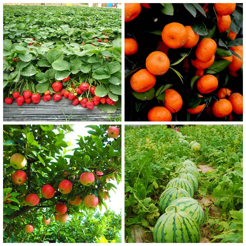 Factory Wholesale 100% Soluble Humic Acid Sodium Humate Feed Additive Organic Fertilizer Water Soluble Humic Acid 95% Humate