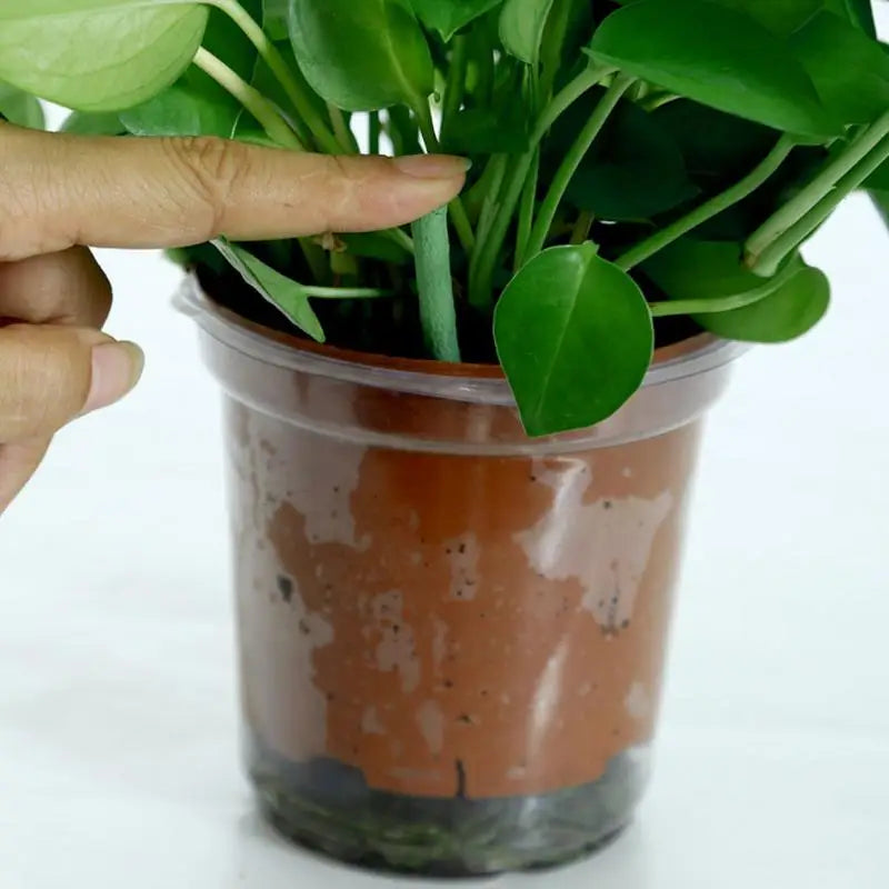 18pcs Plant Slow Release Nutrition Sticks Indoor Plant Fertilizer Bars Outdoor Plant Food Spikes Evergreen Fertilizer Sticks
