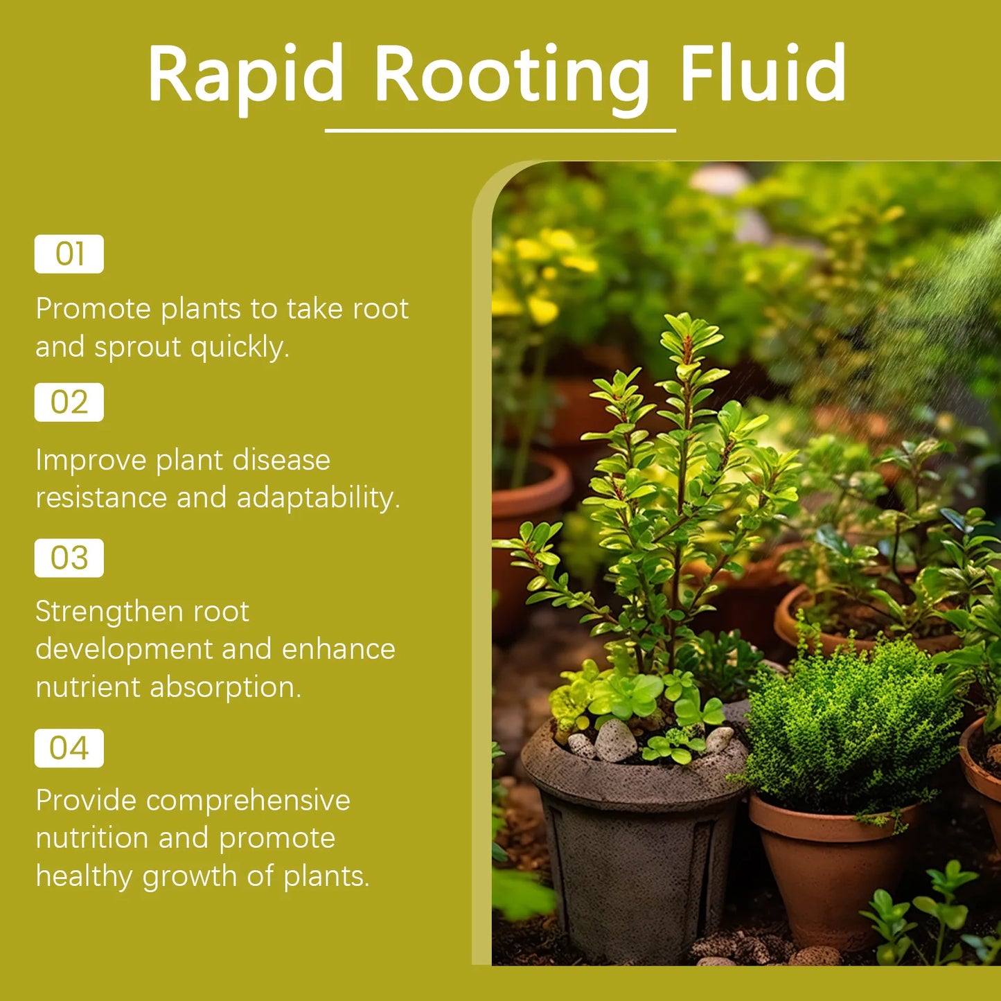 100ml Succulent Root Booster Potted Plant Nutrient Rapid Rooting Stimulator Fertilizer Supplement for Healthy Root Development