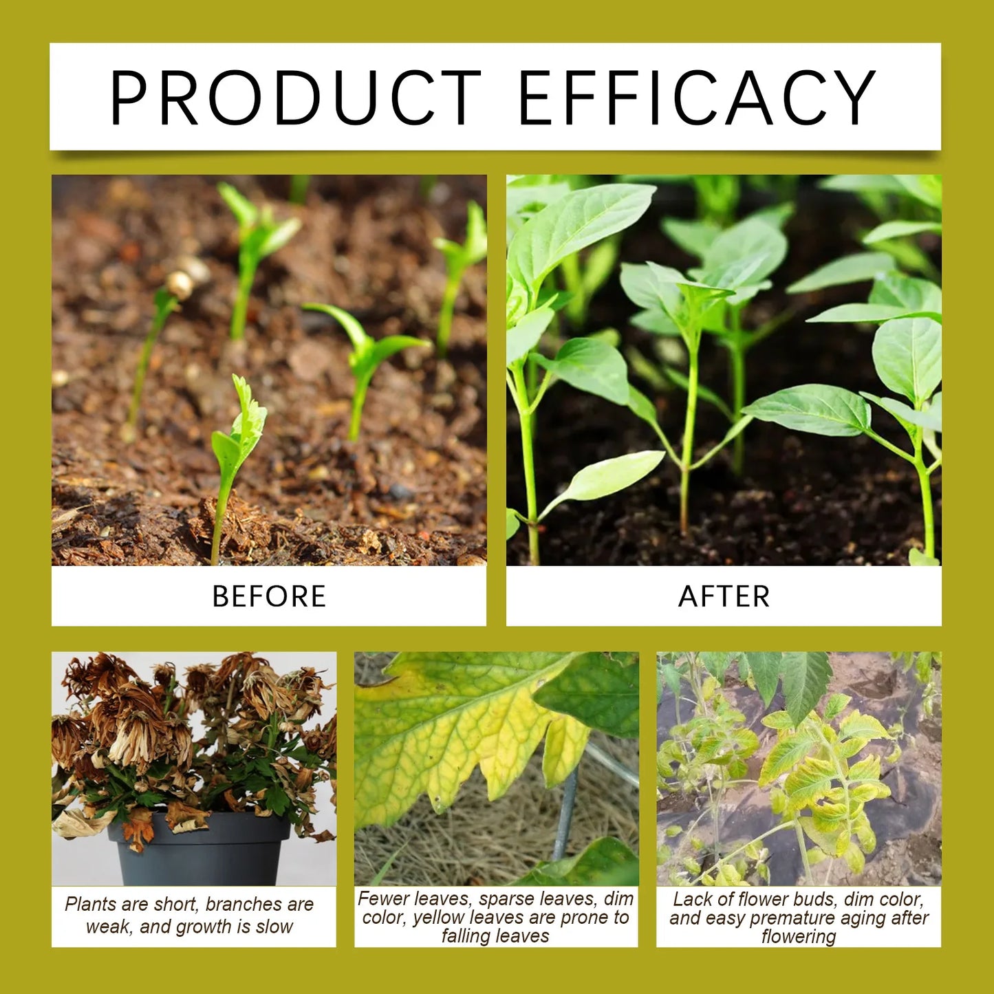 100ml Succulent Root Booster Potted Plant Nutrient Rapid Rooting Stimulator Fertilizer Supplement for Healthy Root Development